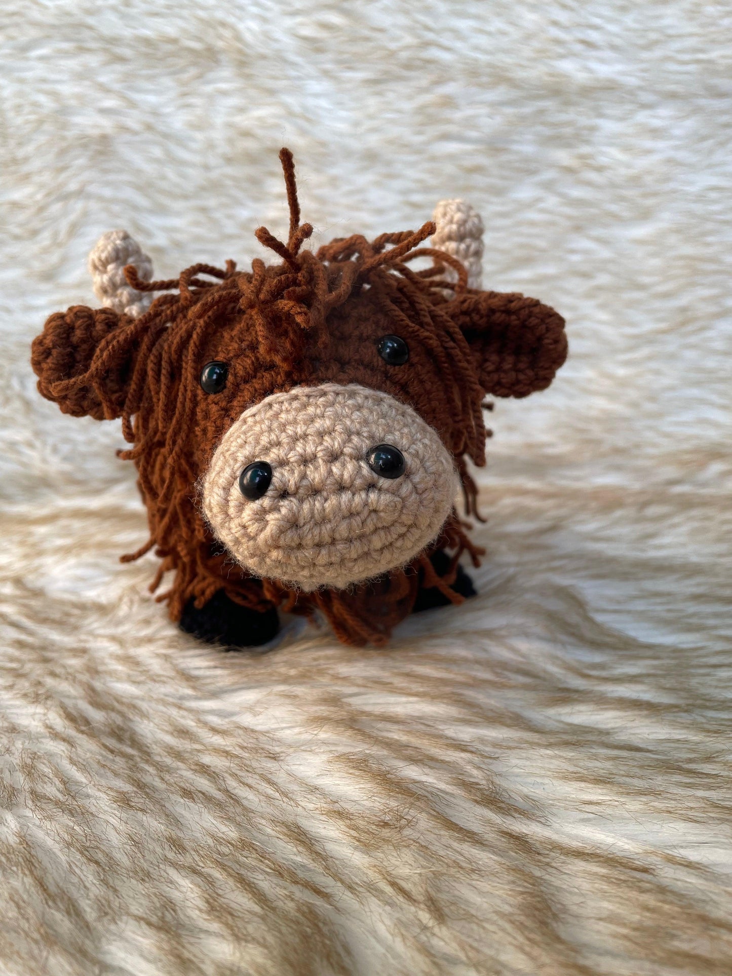 Cowboy Hat & Highland Cow Patterns