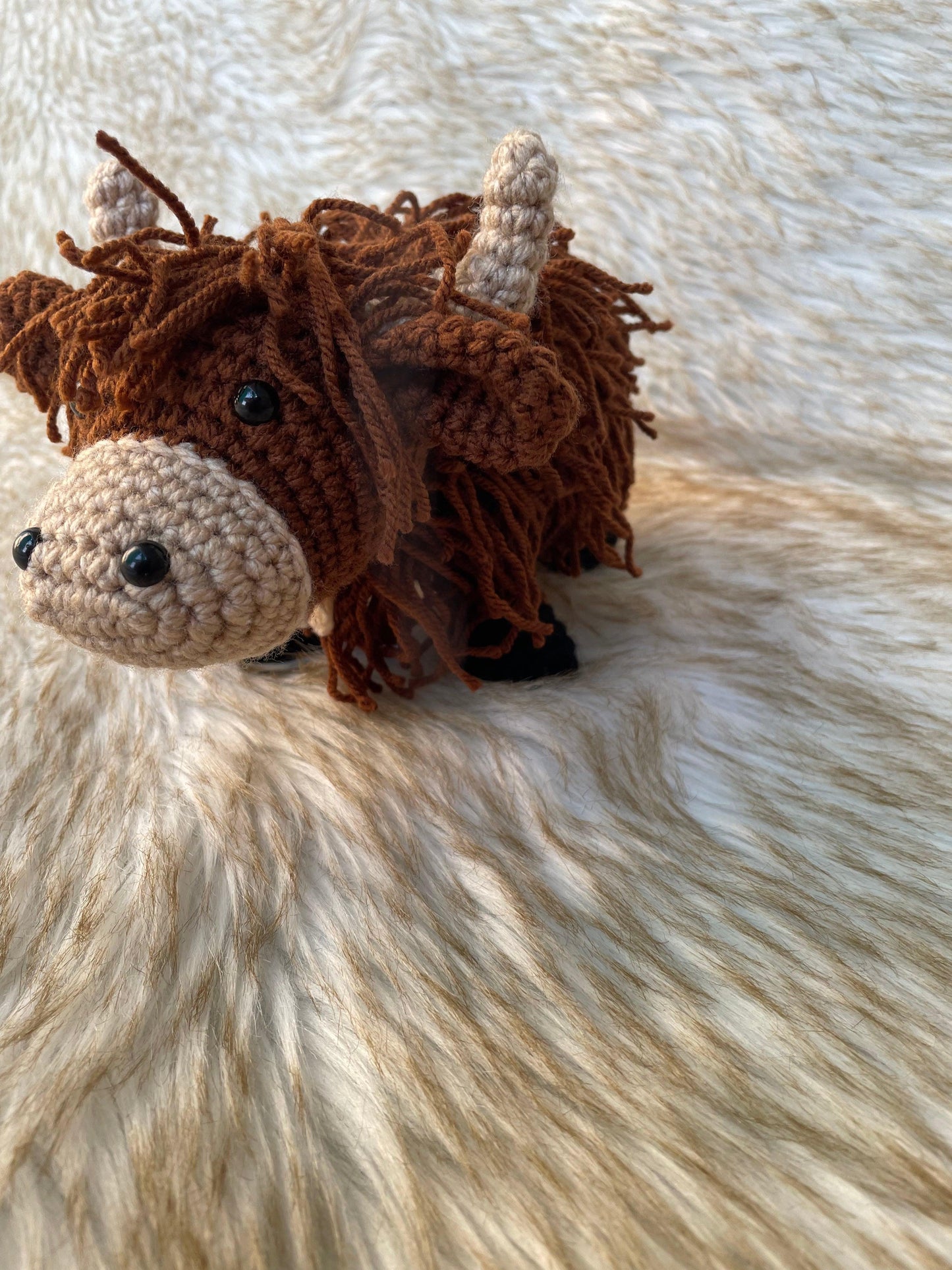 Cowboy Hat & Highland Cow Patterns
