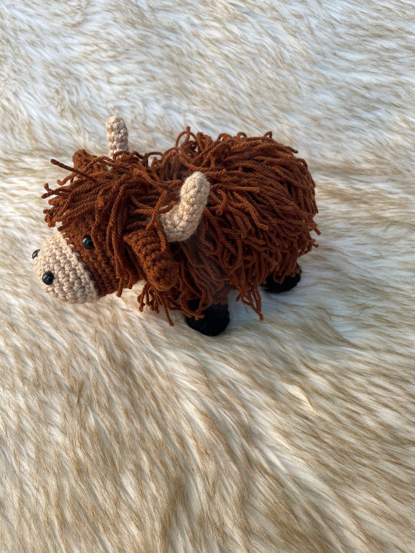 Cowboy Hat & Highland Cow Patterns
