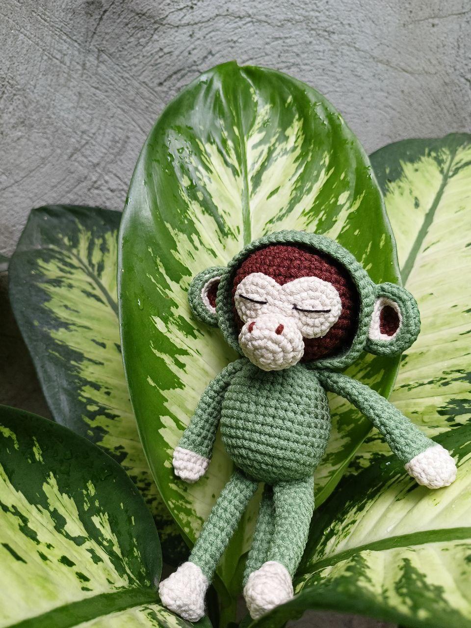 Sleepy Monkey Pattern