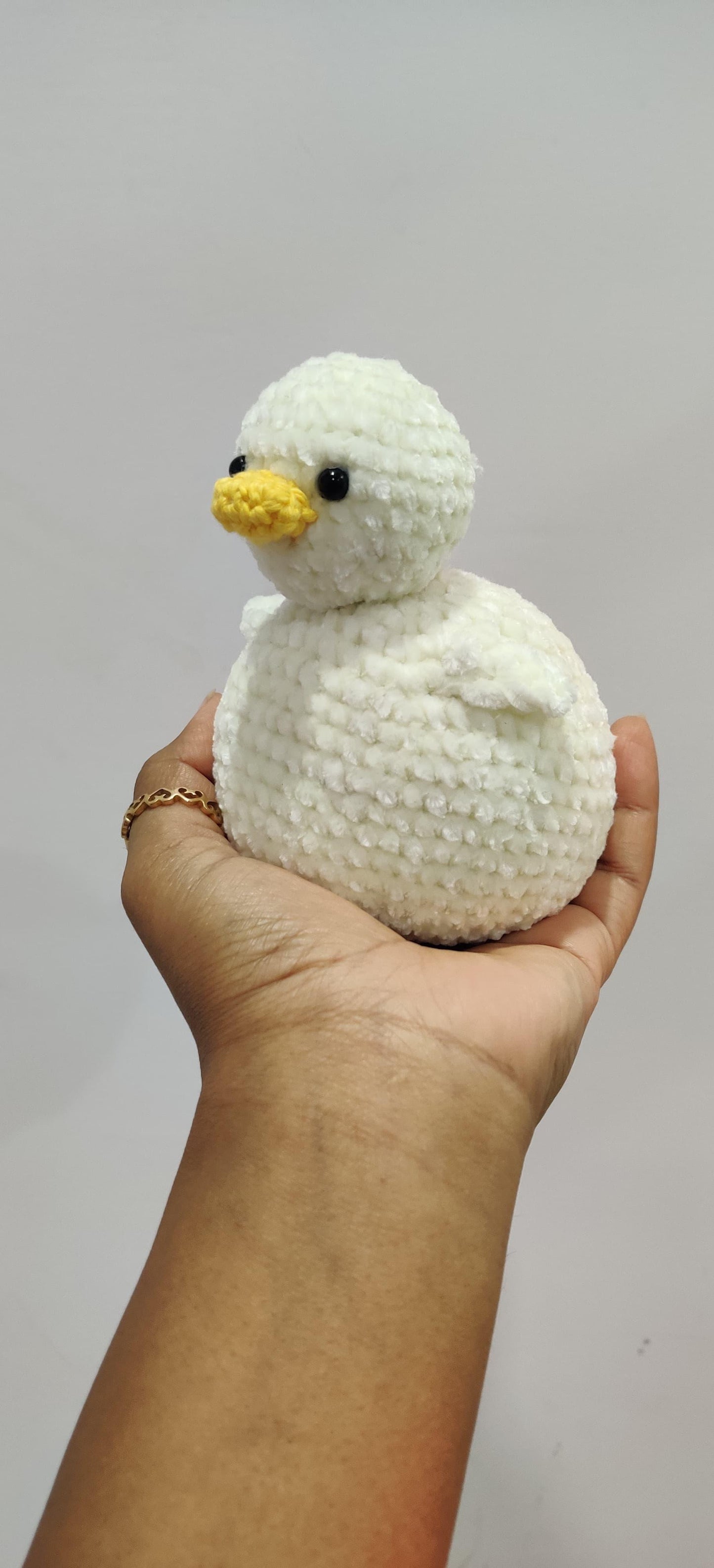 Chonky Duck Pattern